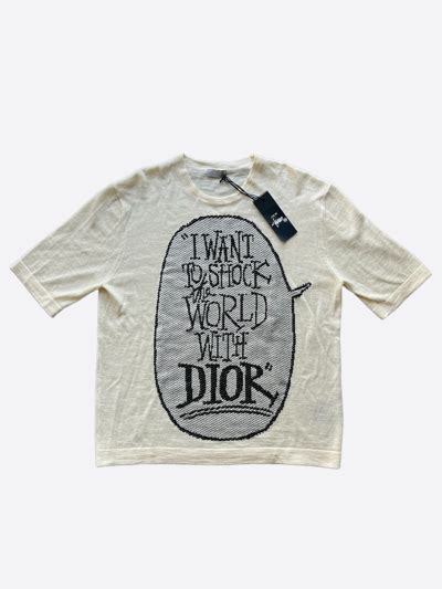 i want to shock the world with dior shirt|DIOR AND SHAWN T.